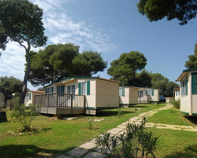 Arena Stoja Campsite-mei 2025