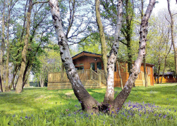 Bluewood Lodges-mei 2025