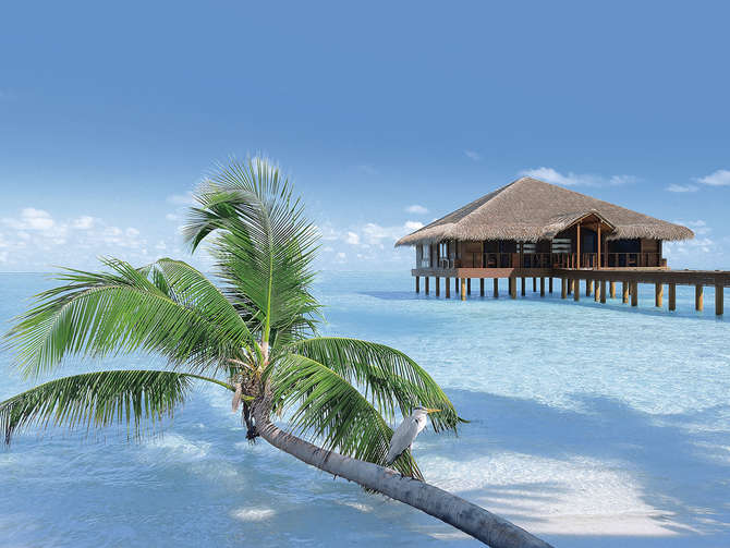 Medhufushi Island Resort-maart 2024