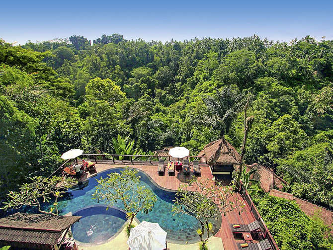 Nandini Jungle Resort Spa-augustus 2022