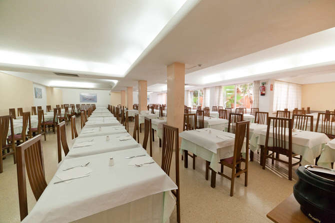 Playasol Palma Cactus-mei 2025