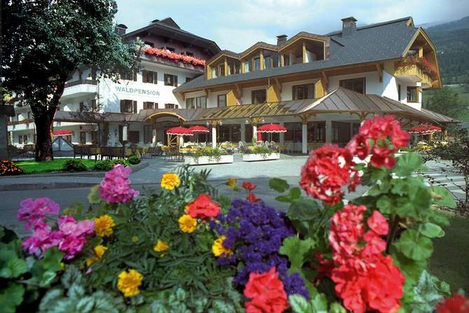 Waldpension Putz-mei 2025