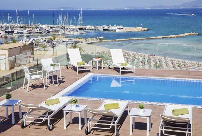Whalabeach-mei 2025